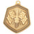 Falcon Series Motorsport Medal Gold
