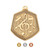 Falcon Series Music Medal