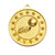 Shooting Star Football Medal Gold