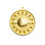 Shooting Star Volleyball Medal Gold