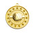 Shooting Star Volleyball Medal Gold