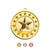 Shooting Star Medal Star Performer
