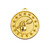 Shooting Star Public Speaking  Debating Microphone Medal Gold