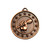 Shooting Star Public Speaking  Debating Microphone Medal Bronze