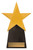 Gold Star Trophy 210mm