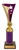 Epic Cup Gold/Purple 250mm