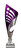 Olympia Cup Silver/Purple 305mm