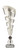 Majorca Cup Silver 335mm