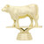Angus Cow Figure Trophy