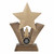 Star Holder Trophy with Insert or Logo 195mm