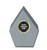 Summit Series Mini Silver Arrowhead Trophy