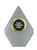 Summit Series Silver Arrowhead Medium Trophy Gold Holder