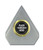 Summit Series Silver Arrowhead Small Trophy Gold Holder