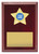 Star Holder Plaque Gold 175mm