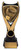 Nova Series Boxing Trophy 200mm V02C-VF32