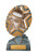 Starburst Series Netball Trophy 170mm