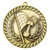 Venture Series Motorsport Gold Medal