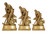 Gold Star Series Hockey Male