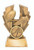 Hawk Series Rugby Trophy 100mm