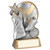 Astra Series Netball Trophy 135mm