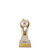 Maxima Series Netball Trophy 125mm