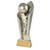 Raptor Series Netball Trophy