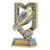 Aegis Series Rugby Trophy