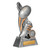 Corfu Series Aussie Rules Trophy