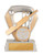 Shield Series Cricket Trophy 100mm 616-1A