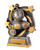 Typhoon Series Swimming Trophy