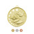 Hollow Star Academic Medal