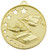 Hollow Star Academic Medal Gold MH905G