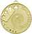 Hollow Star Maths Medal Gold MH920G
