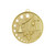 Hollow Star Science Medal Gold
