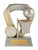 Shield Series Netball Trophy 120mm