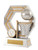 Titan Series Netball Trophy