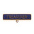 Treasurer Title Bar Blue