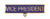 Vice President Title Bar Blue