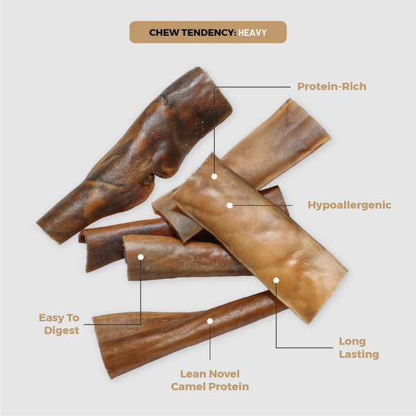 Camel Skin (10 Pack)