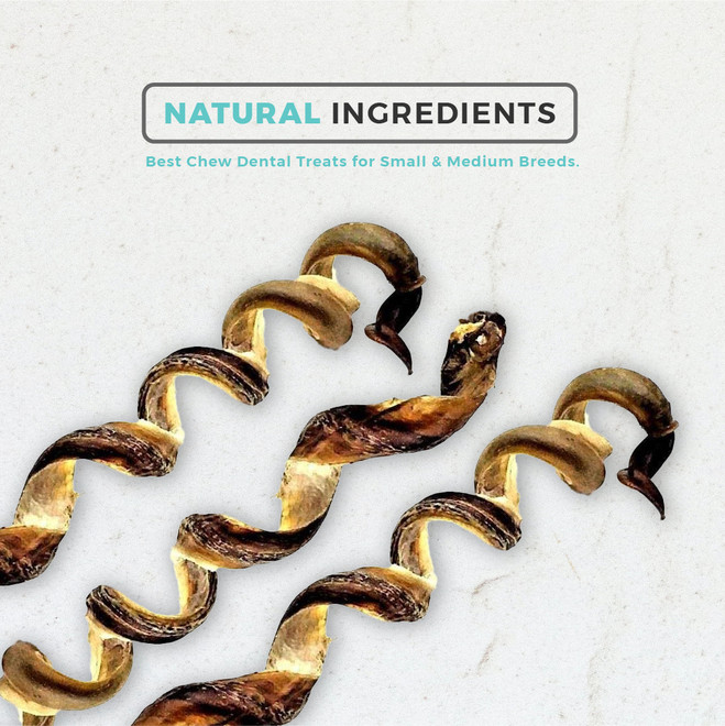 6-7" PORK BULLY STICK SPRINGS  - 12 Pack