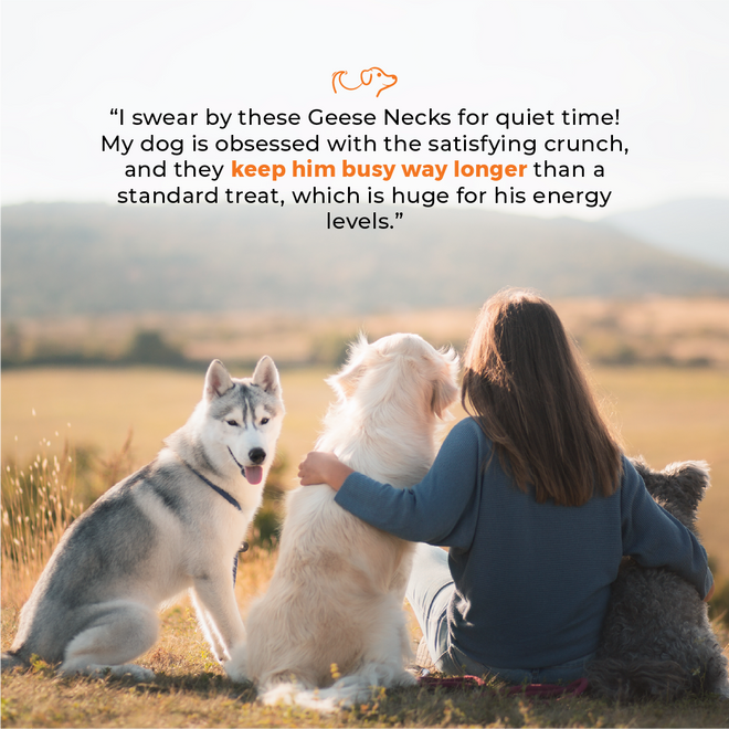 Geese Necks (5 Pack)