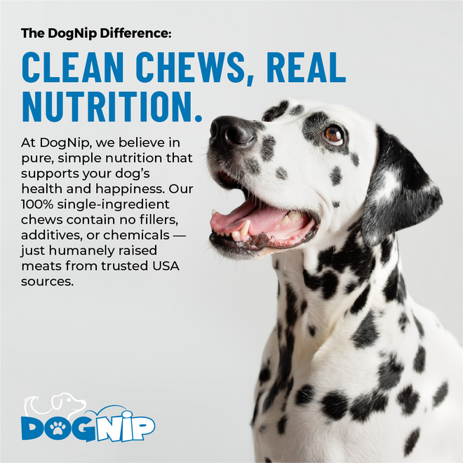 Geese Strips (10 Pack)