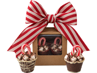 hot cocoa chocolate bomb christmas gift set