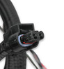 558-124 Holley EFI Holley EFI Ford Coyote Ti-VCT Sub Harness (2011-2012)