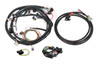 558-508 Holley EFI Universal Ford V-8 Harness Kit