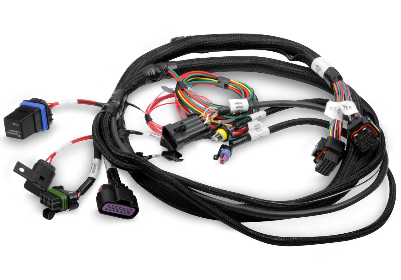 558-414 Holley EFI Terminator Main Harness