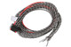 80001 MSD Coil Harness - Pro 600