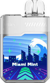 Miami Mint Geek Bar Digiflavor Vape