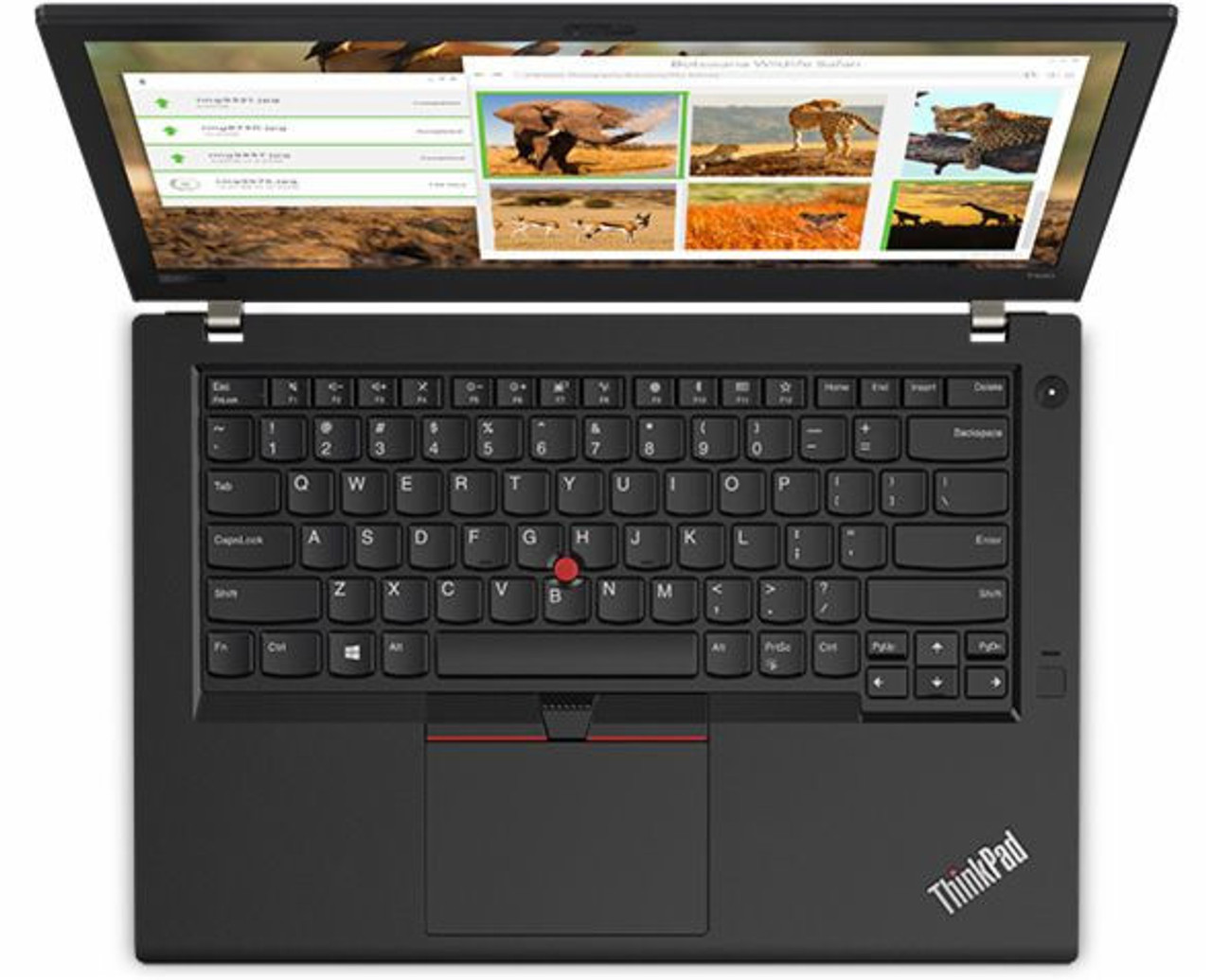 Lenovo Thinkpad T480 Notebook - 14