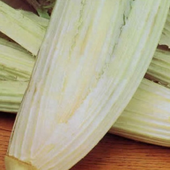 Artichoke - Bianco Avorio Artichoke - Bianco Avorio